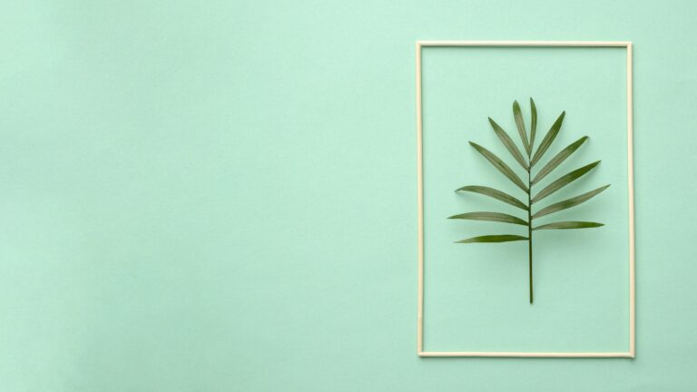 arrangement-green-leaves-with-copy-space